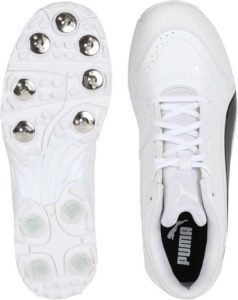 puma-evospeed-18.1c-spike-cricket-shoes