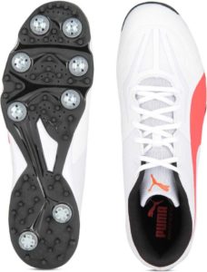 evospeed 360.1 cricket spike shoes