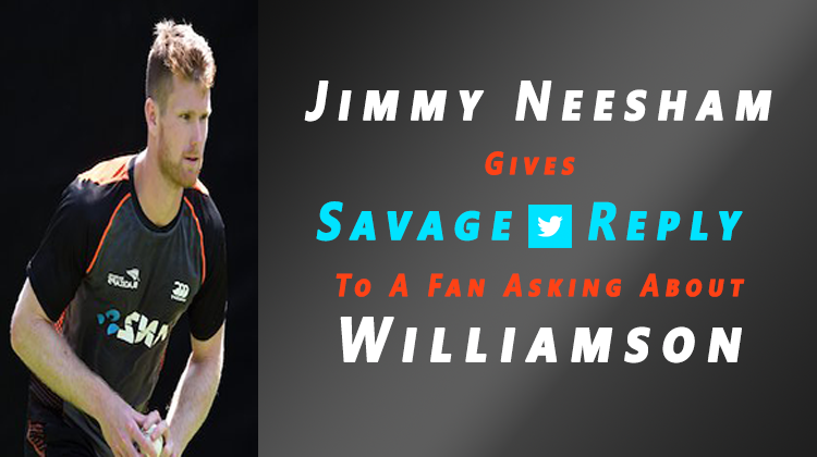 James neesham gives savage reply to a fan asking about kane williamson